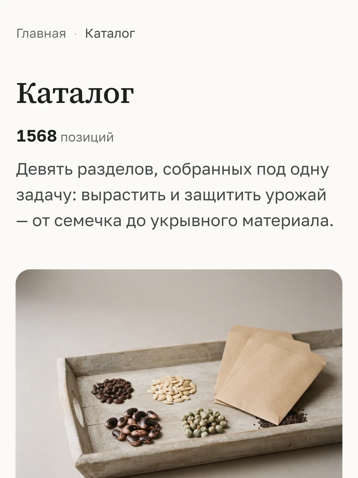 Каталог semetchka.by на телефоне: 1568 позиций в девяти разделах